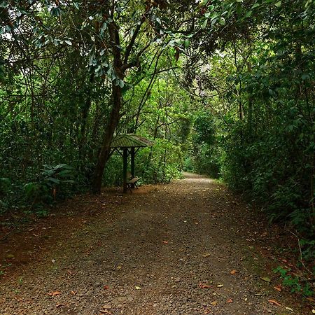 Tree Houses Hotel Costa Rica Florencia Экстерьер фото