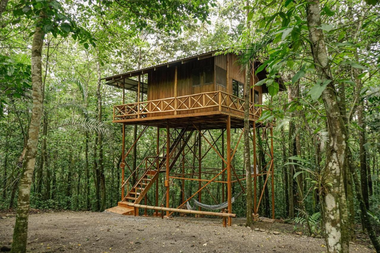 Tree Houses Hotel Costa Rica Florencia Экстерьер фото