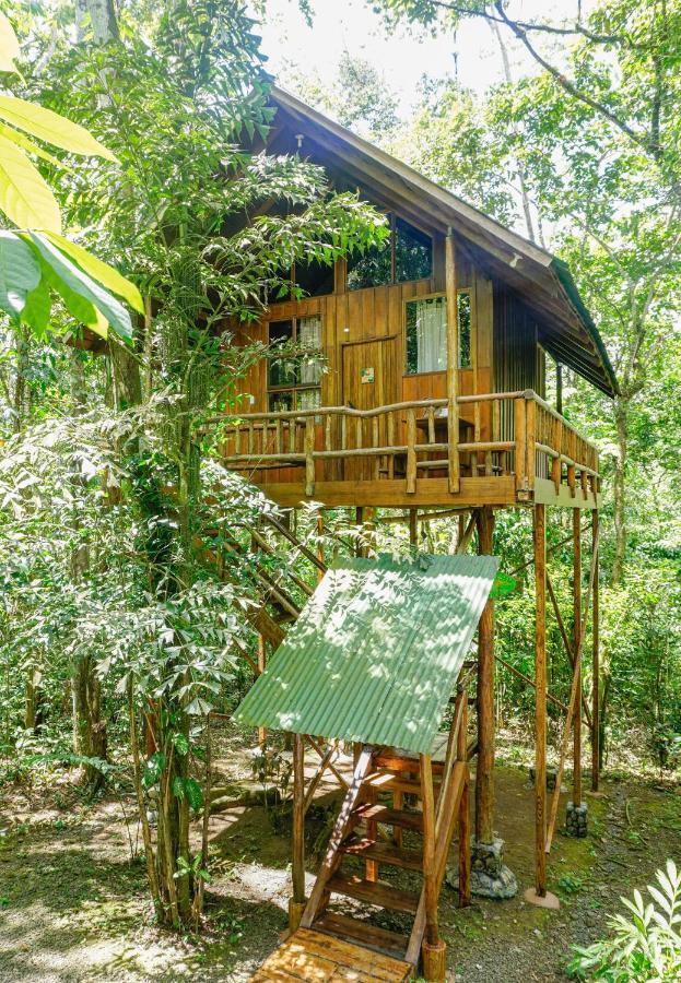 Tree Houses Hotel Costa Rica Florencia Экстерьер фото