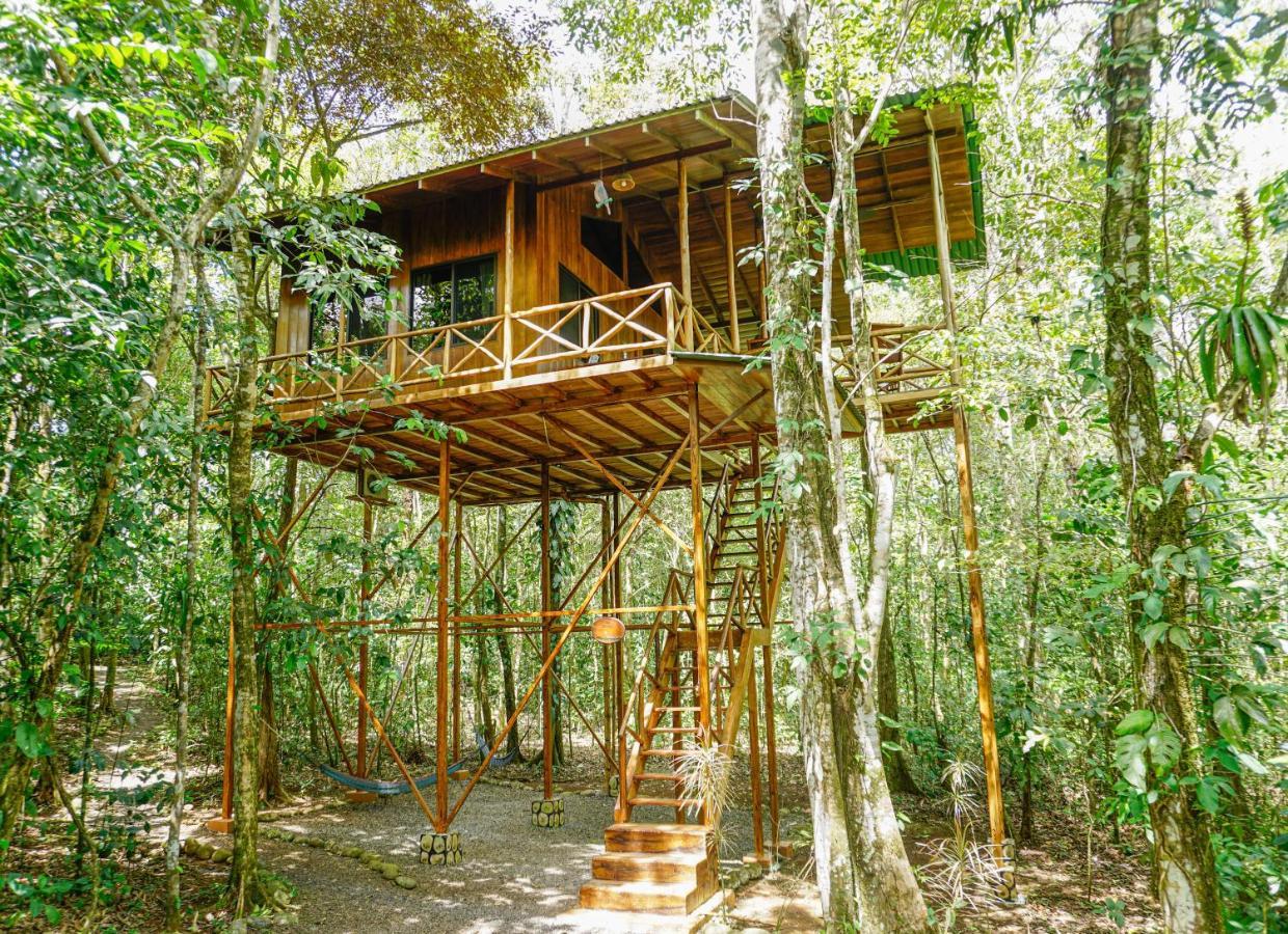Tree Houses Hotel Costa Rica Florencia Экстерьер фото