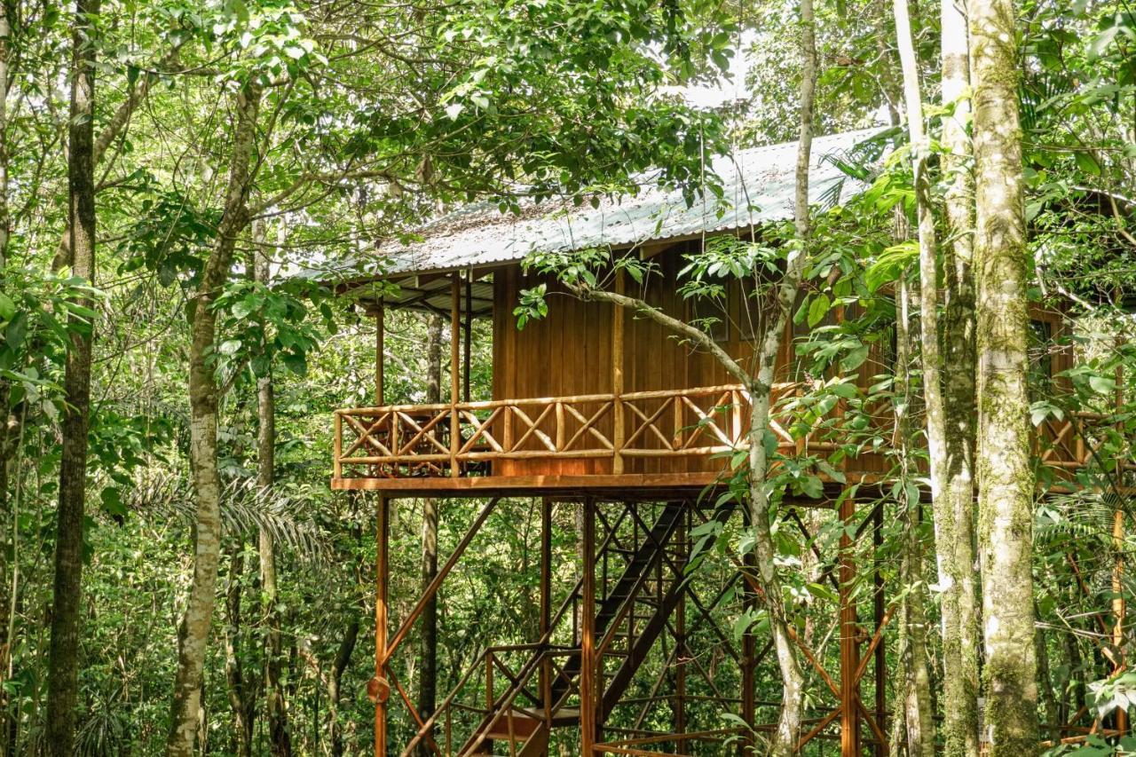 Tree Houses Hotel Costa Rica Florencia Экстерьер фото