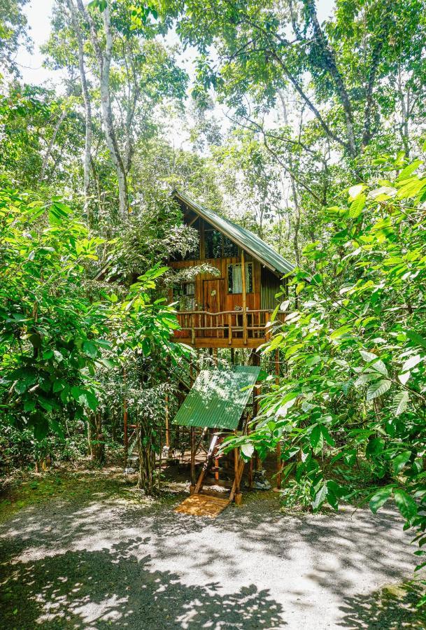 Tree Houses Hotel Costa Rica Florencia Экстерьер фото