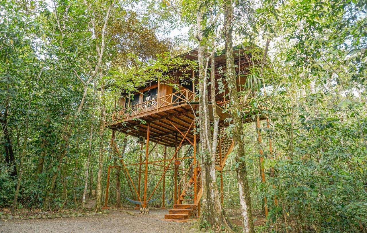 Tree Houses Hotel Costa Rica Florencia Экстерьер фото