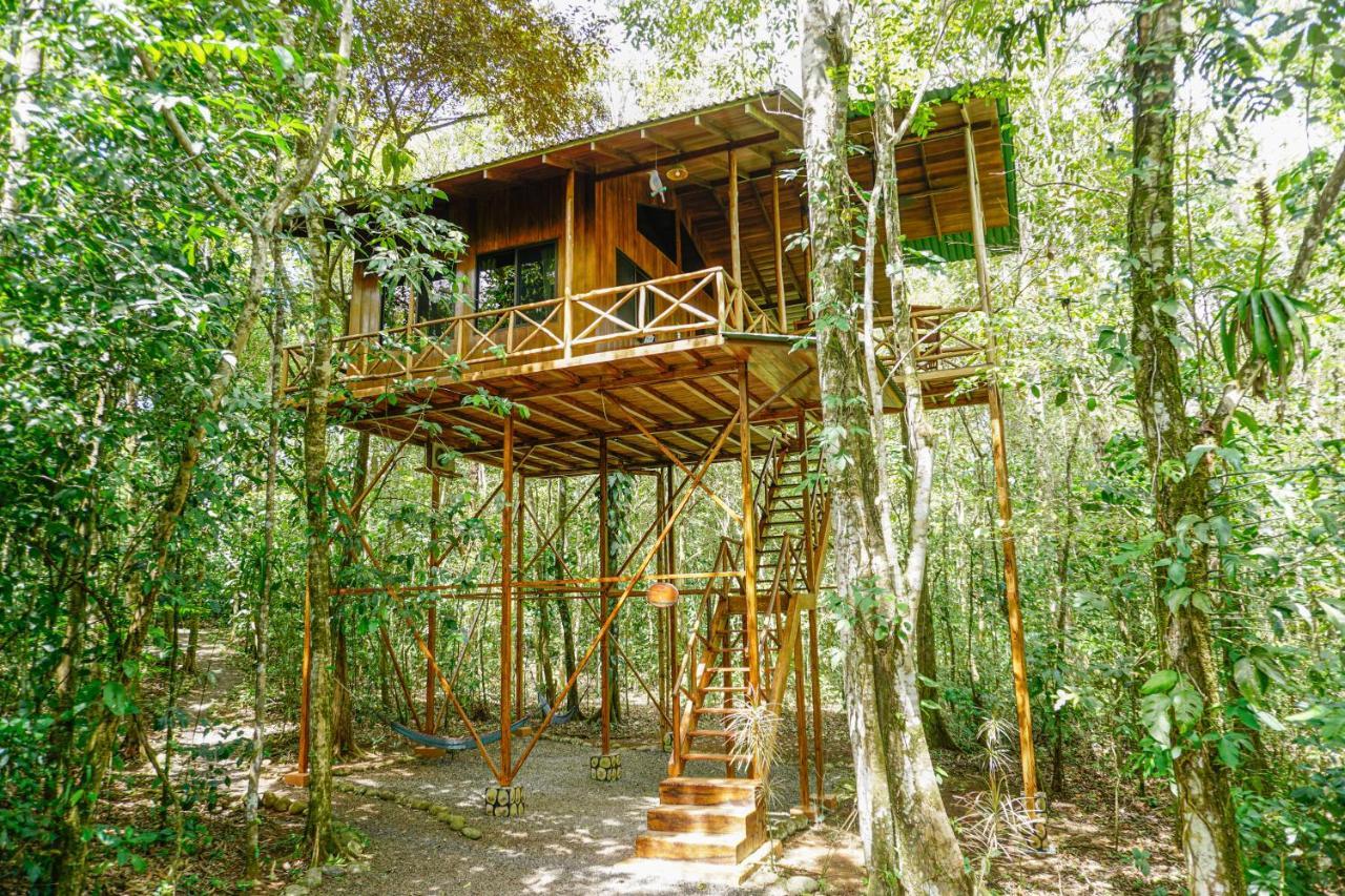 Tree Houses Hotel Costa Rica Florencia Экстерьер фото