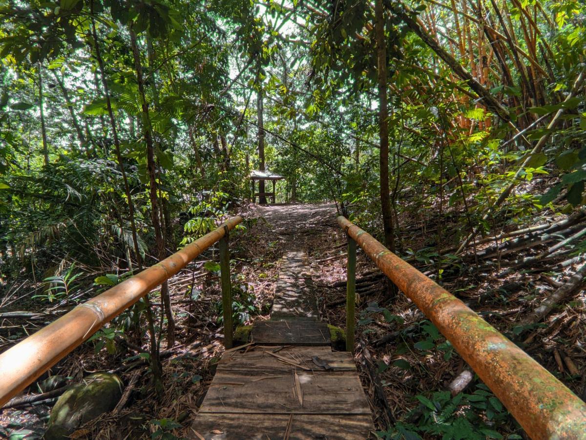 Tree Houses Hotel Costa Rica Florencia Экстерьер фото