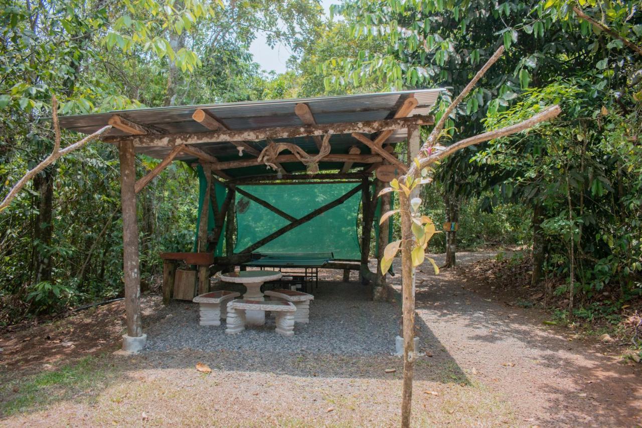 Tree Houses Hotel Costa Rica Florencia Экстерьер фото